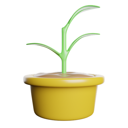 Blume  3D Icon