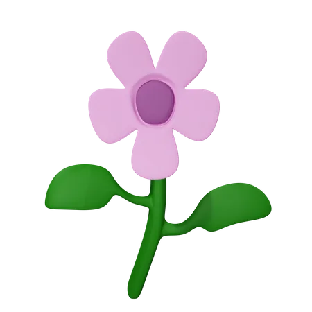 Blume  3D Icon