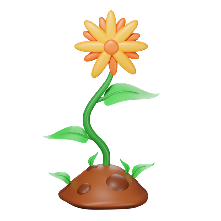 Blume  3D Icon