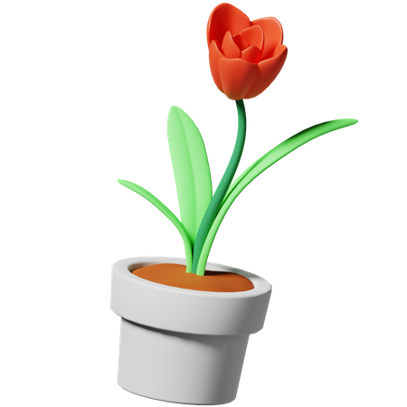 Blume  3D Icon