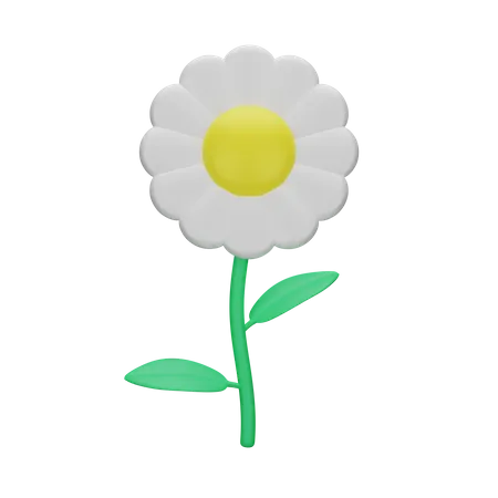 Blume  3D Icon