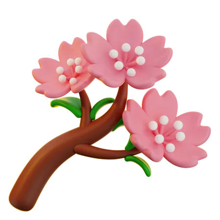 Blume Blüte Sakura  3D Icon