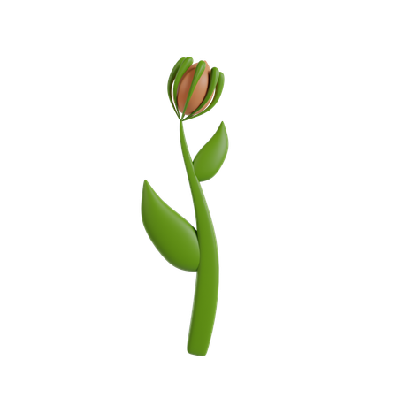 Blume Pflanze  3D Icon