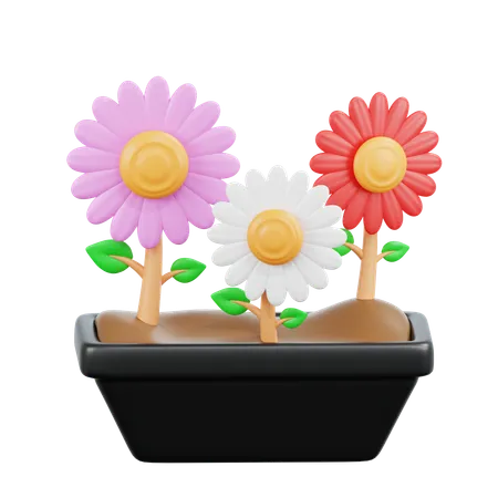 Blumen  3D Icon