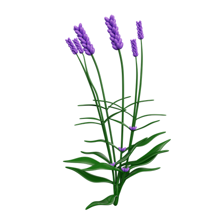 Blumen  3D Icon