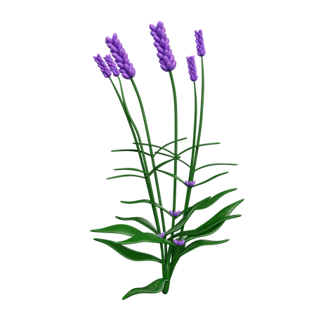 Blumen  3D Icon