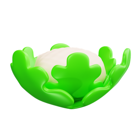 Blumenkohl  3D Icon