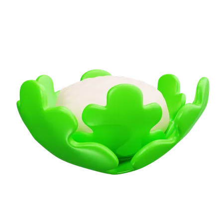 Blumenkohl  3D Icon