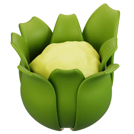 Blumenkohl  3D Icon