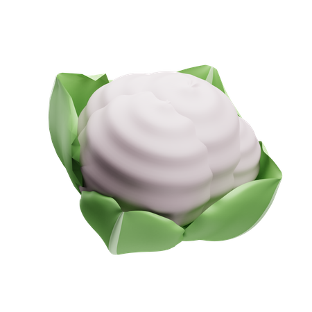 Blumenkohl  3D Illustration