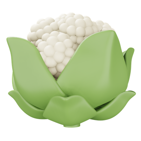 Blumenkohl  3D Icon