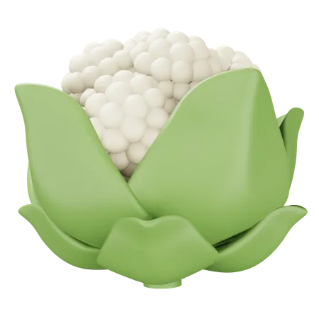 Blumenkohl  3D Icon