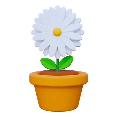 Blumentopf  3D Icon