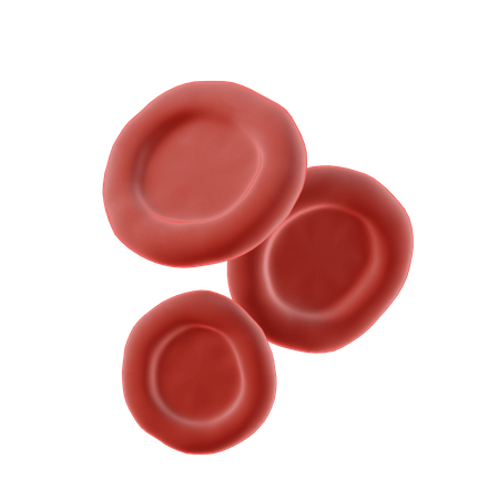 Blutzellen  3D Illustration