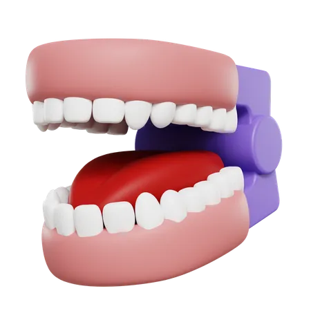 Modelo de boca  3D Icon