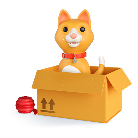 Boîte chat orange  3D Icon