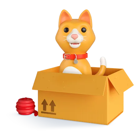 Boîte chat orange  3D Icon