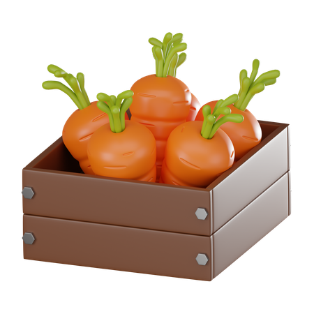 Boîte de carottes  3D Icon