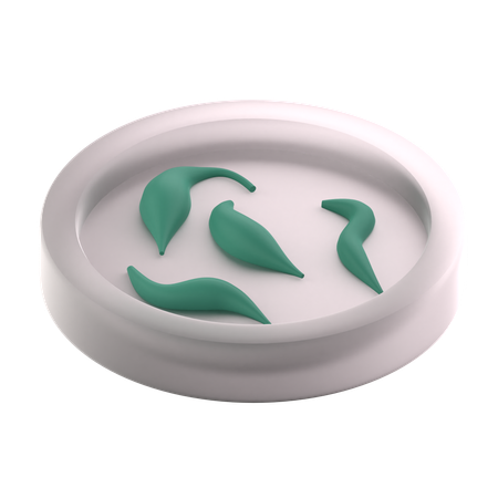 Boîte de Petri  Icône 3D