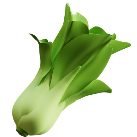 チンゲン菜  3D Icon