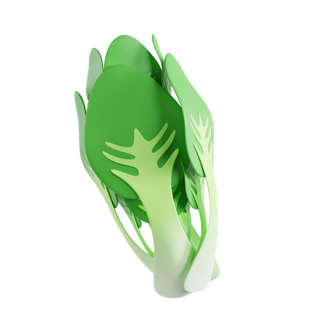 Bok choy  3D Icon