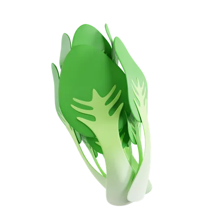 Bok choy  3D Icon