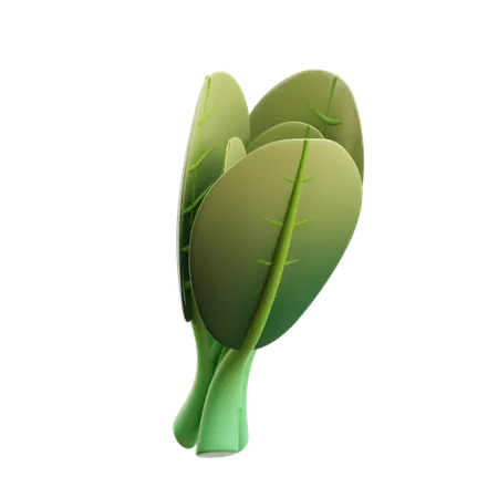 Bok Choy  3D Icon