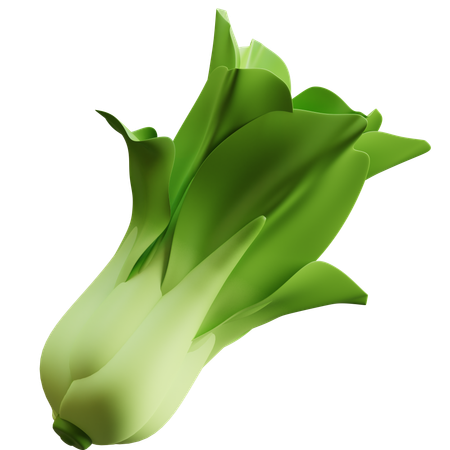 Bok Choy  3D Icon