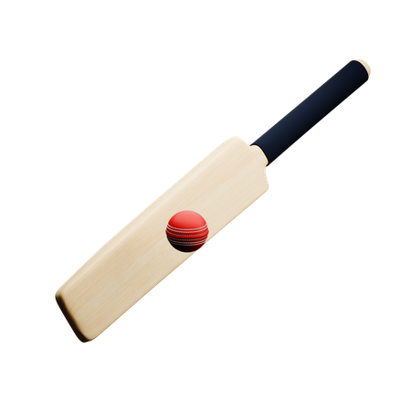 Bola de taco de críquete  3D Icon