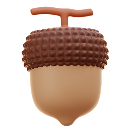 Noz de bolota  3D Icon