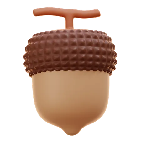 Noz de bolota  3D Icon