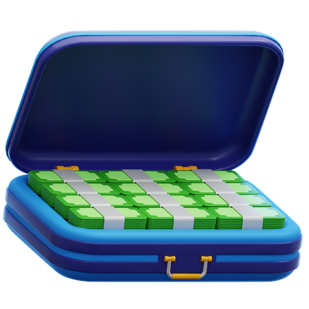 Bolsa de dinero  3D Icon