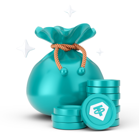 Bolsa de dinero  3D Icon