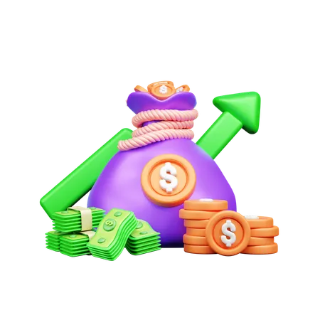 Bolsa de dinero  3D Icon