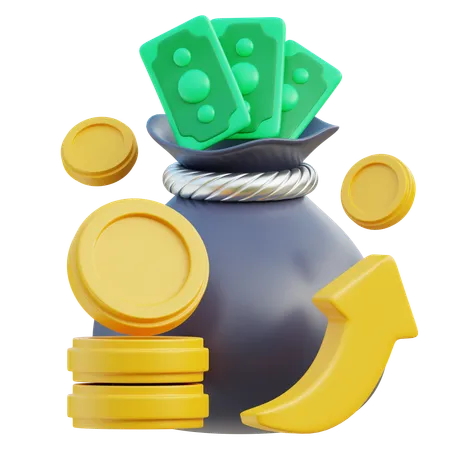 Bolsa de dinero  3D Icon