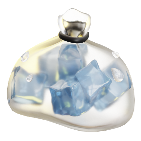 Bolsa de hielo  3D Icon