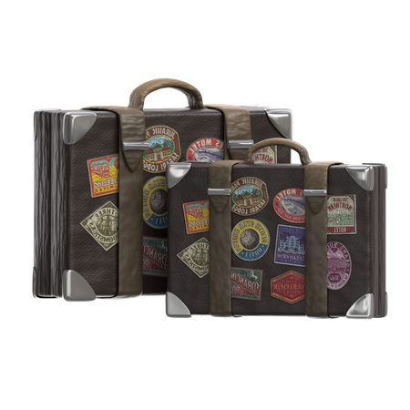 Bolsa de viaje  3D Icon