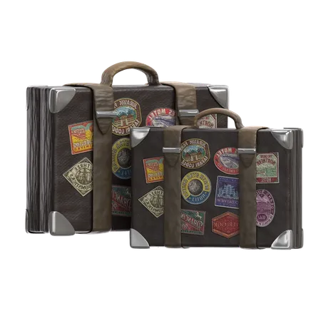 Bolsa de viaje  3D Icon