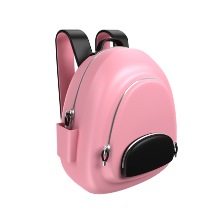 Bolsa de menina  3D Icon