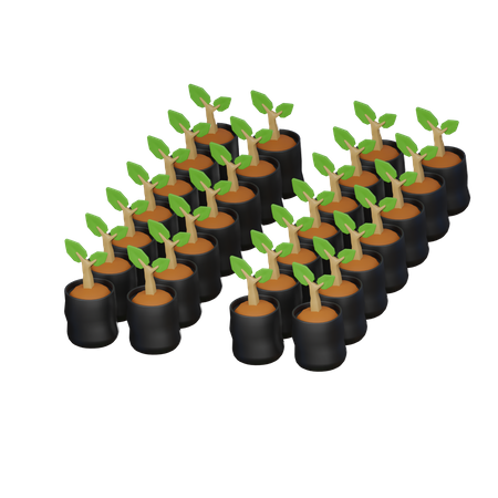 Bolsa de plantas  3D Icon