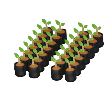 Bolsa de plantas  3D Icon