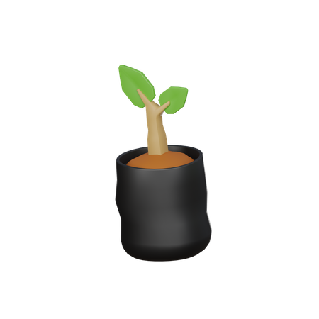 Bolsa de plantas  3D Icon