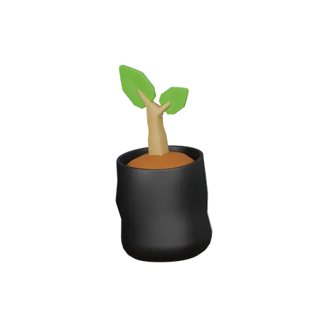 Bolsa de plantas  3D Icon