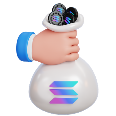 Bolso solana  3D Icon