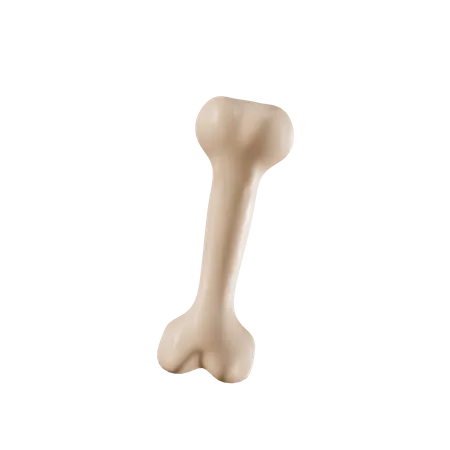 Bone  3D Illustration