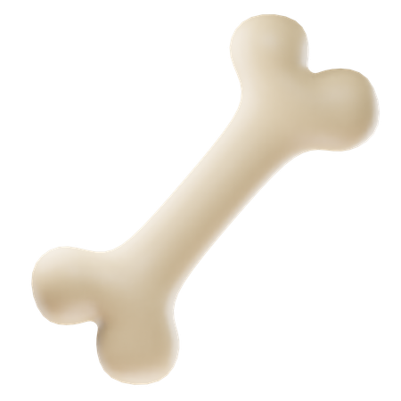 Bone  3D Icon