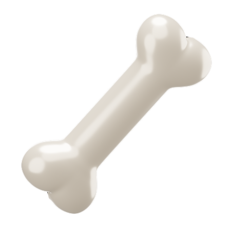 Bone  3D Icon