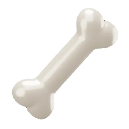 Bone  3D Icon