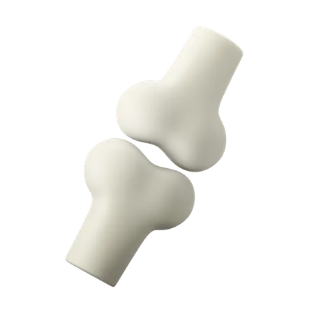 Bone  3D Illustration