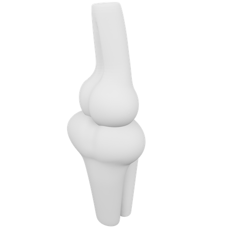 Bone 3D Icon